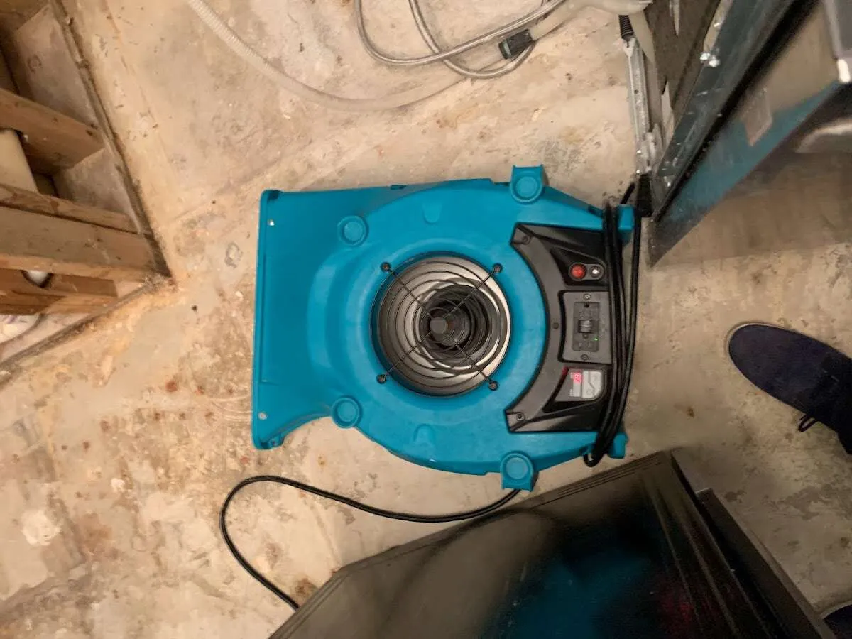 Air mover drying equipment for Mold Remediation & Removal in North Union